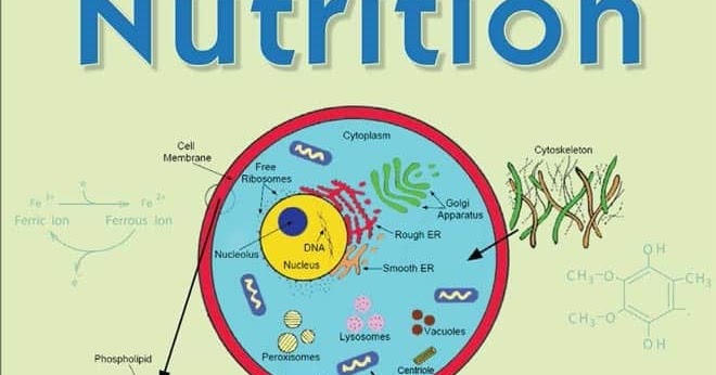 Principles of Animal Nutrition | PDF Lobby