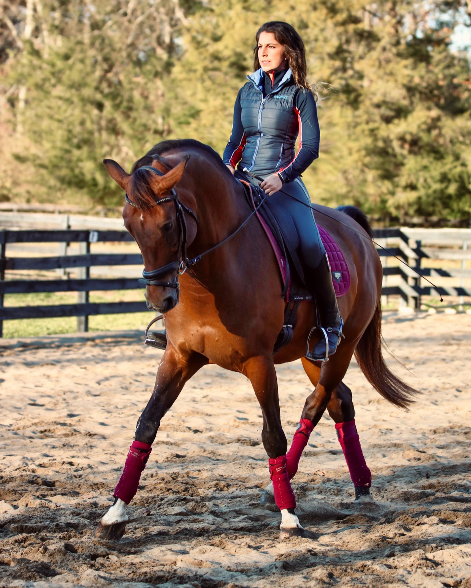 JUMPING DRESSAGE EVENTING