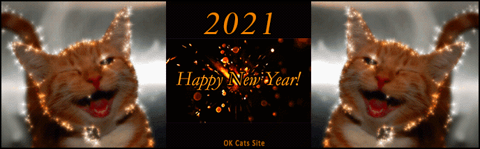Animated Cat GIF • Happy New Year 2021 to all kitties and cat lovers all over the World Animated Cat GIF • Happy New Year 2021 to all kitties and cat lovers all over the World