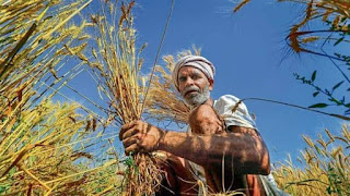 टिडडी दल के आक्रमण की चेतावनी टिडडी दल के आक्रमण की चेतावनी