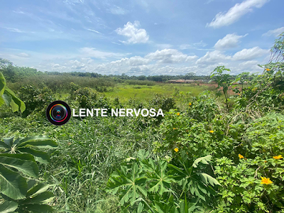 Garoto de 12 anos mentiu sobre cadáver desovado na zona sul para tentar unir os pais