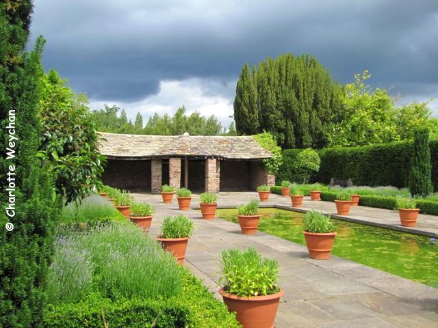 Presuntamente así es la vida: julio 2011