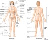 Girls Body parts name in English