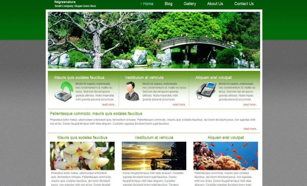 Free HTML Mountaines Forest Website Template