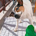 Why is My Dog Shaking, Shivering, and Trembling? Why is My Dog Shaking, Shivering, and Trembling?