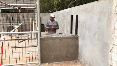 Passage between feeding cage and main enclosure