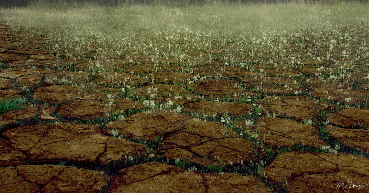 The Rain that Falls For Earth!