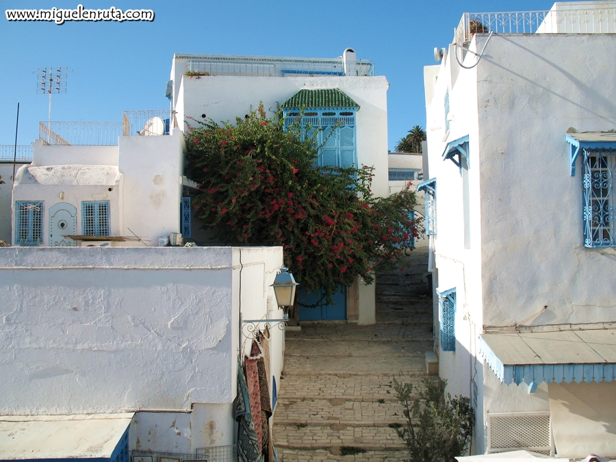 Sidi Bou Said