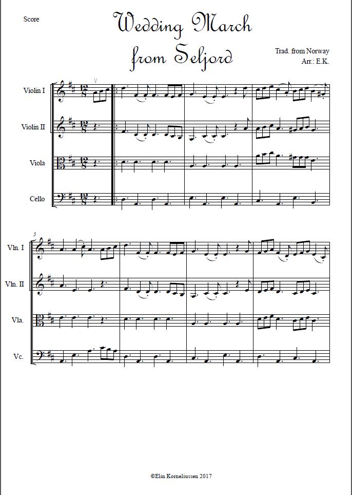 String Kids Orchestra Wedding March from Seljord