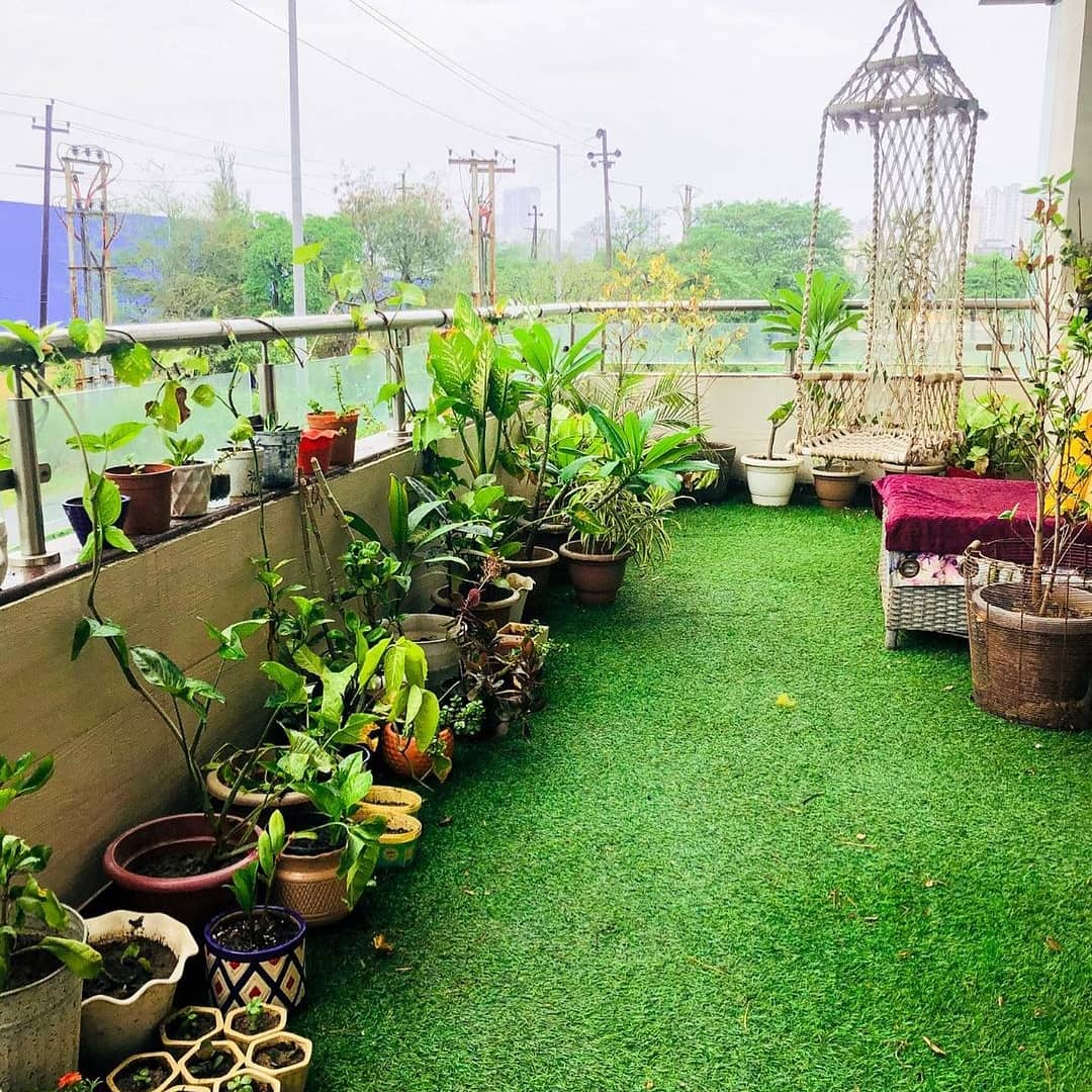 Balcony Garden /Terrace Gardening setup in HYDERABAD at your doorsteps