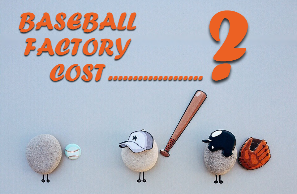 Q/A How Much a Baseball Factory Cost (Total Investment Required