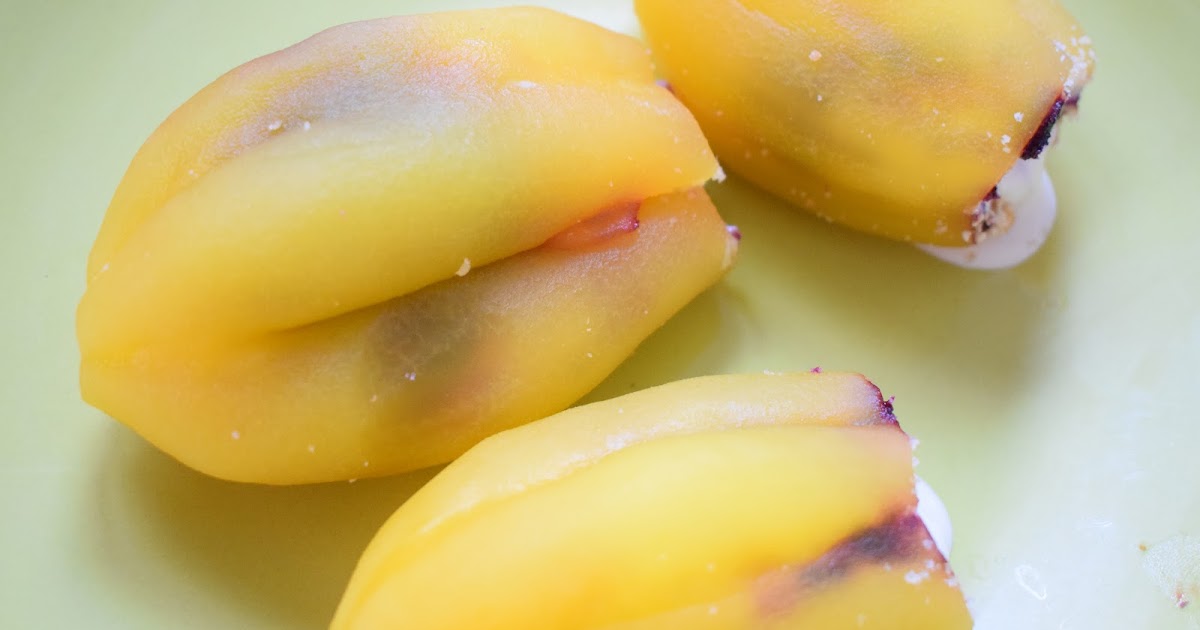 Cocina Chilena . Recetas Caseras Papayas Rellenas con arándanos y