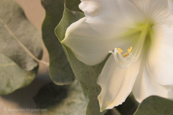 Wollgewandt Eine Inspirationsquelle