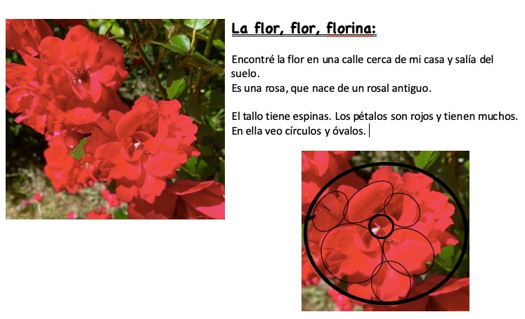 ayer encontre la flor