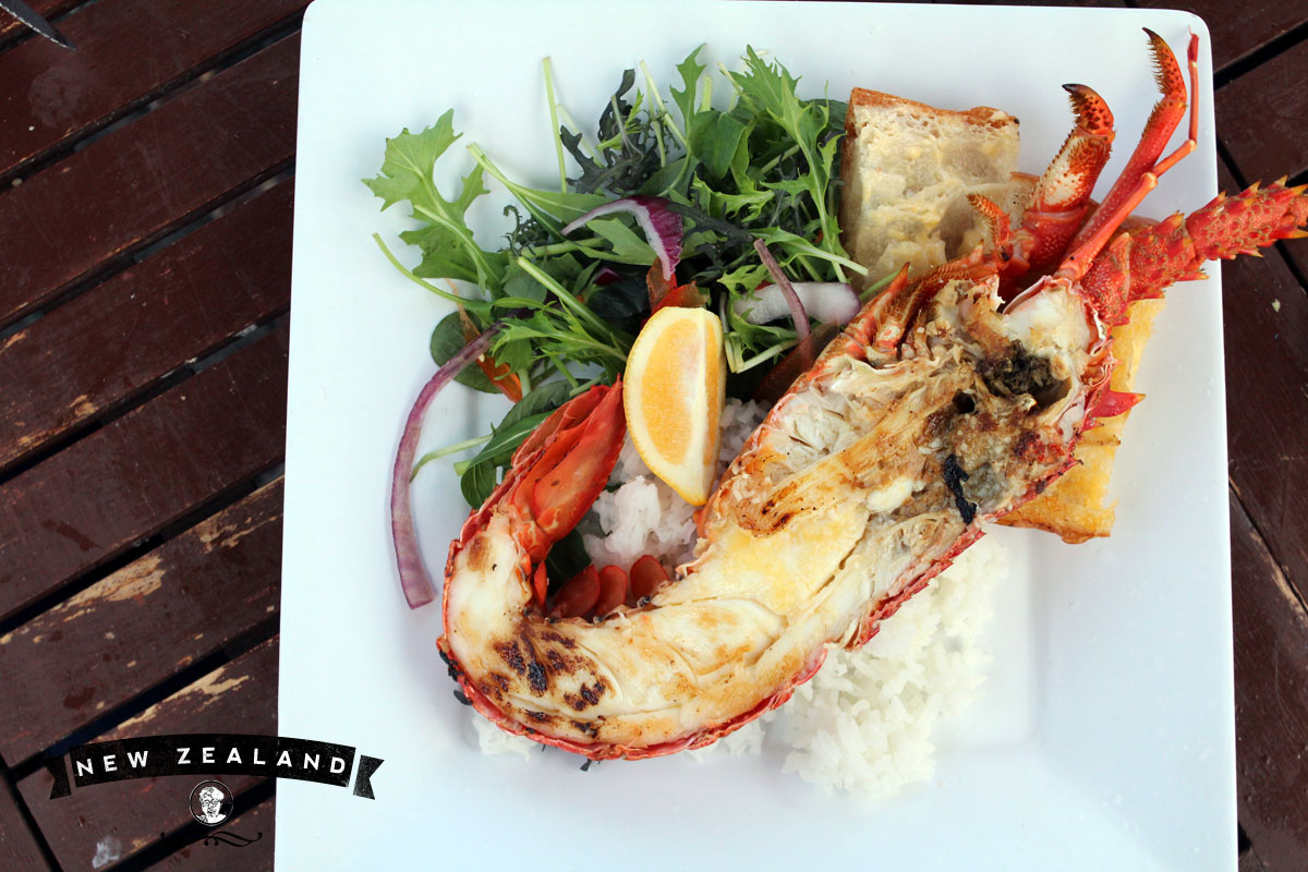 New Zealand Crayfish town Kaikoura exchangeTravel Journal