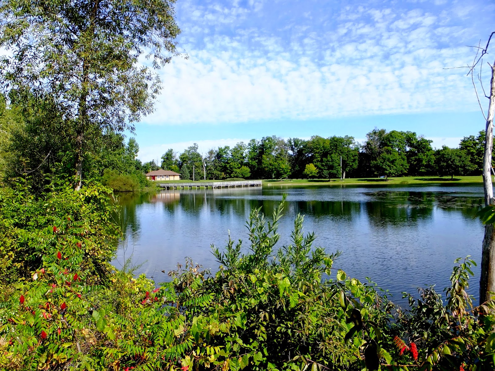 Plants Amaze Me Grand River Park and Grand River Open