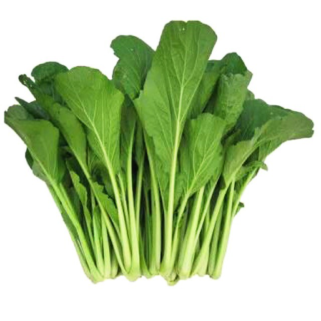 Jenis-Jenis Sayuran yang Cocok untuk Dibudidayakan pada Aquaponik dan