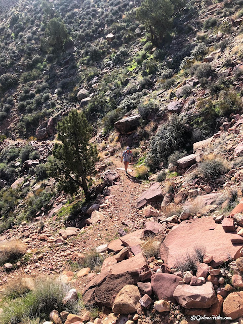 Backpacking to Rainbow Bridge National Monument