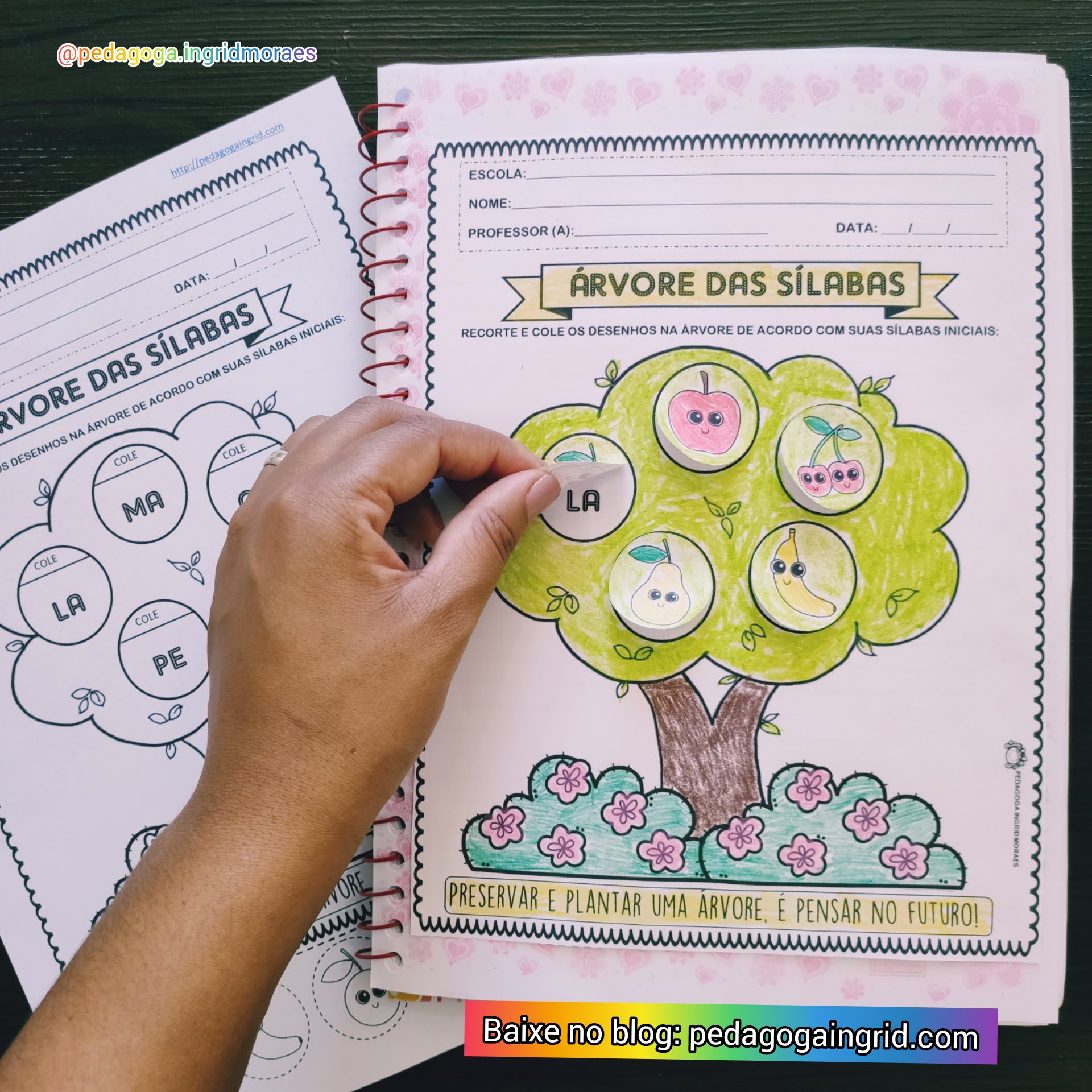 Blog da Árvore - Tudo sobre Sala de aula