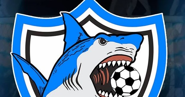 A BOLA E O TEMPO ( BARÃO JUNIOR ) Clube Atlético Tubarão 2005