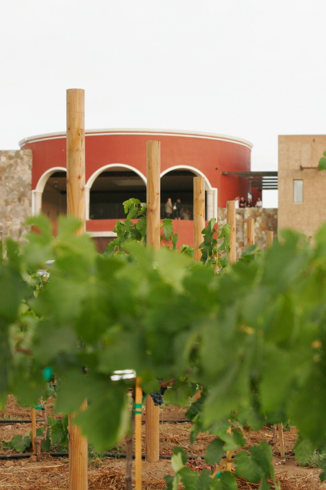 OTROS PAISES AMERICA HACIENDA LA LOMITA MEXICO ( *** )