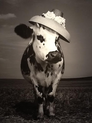 Oh la vache! Exhibit