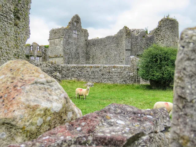 Things to do near Athlone: Roscommon Castle