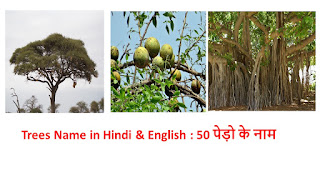 Trees Name in Hindi & English : 50 पेड़ो के नाम