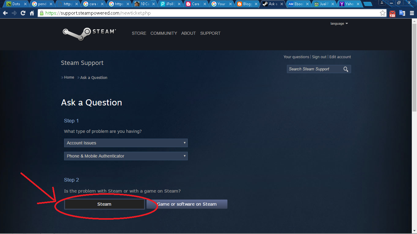 Authentication with steam фото 2