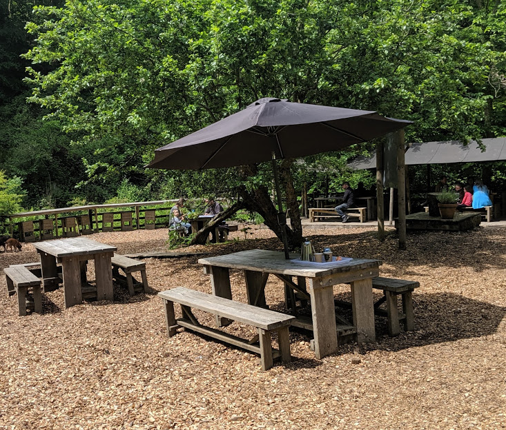 Falling Foss Tea Garden North Yorkshire's Best Kept Secret North