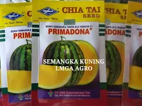 usaha sampingan, usaha rumahan, usaha kecil, jual benih semangka, toko online, toko pertanian lmga agro