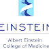 Albert Einstein College Of Medicine - Albert Einstein College