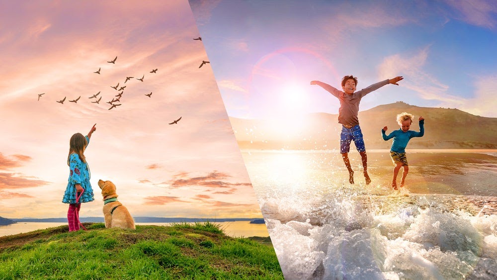 adobe photoshop elements 2021 adobe photoshop elements 2021