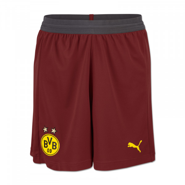 borussia dortmund training pants