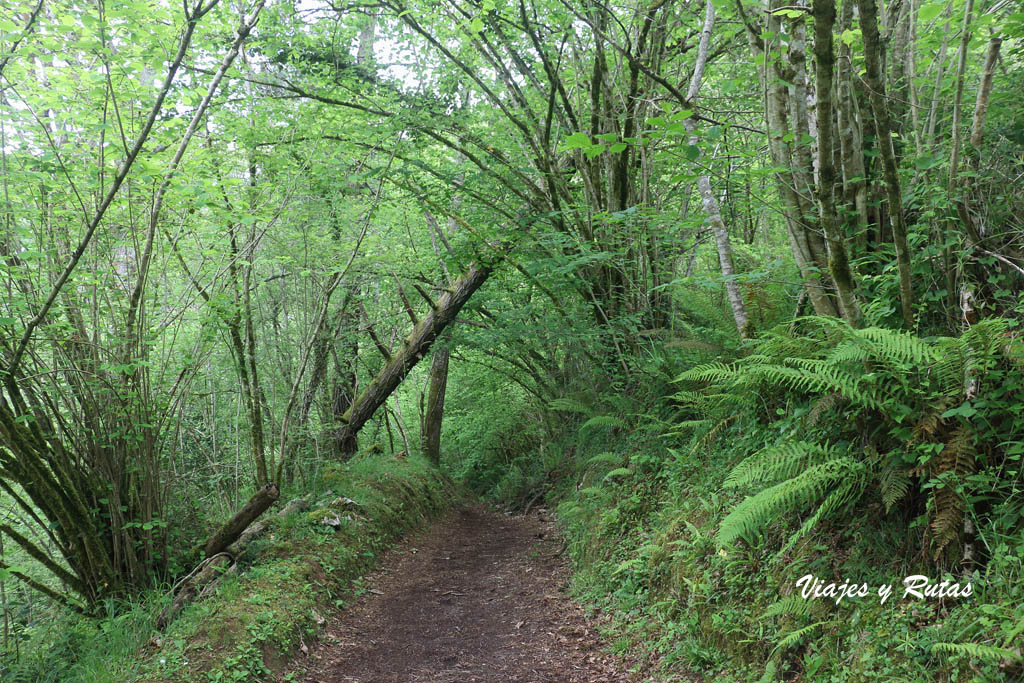 Ruta de los Molinos, Asturias