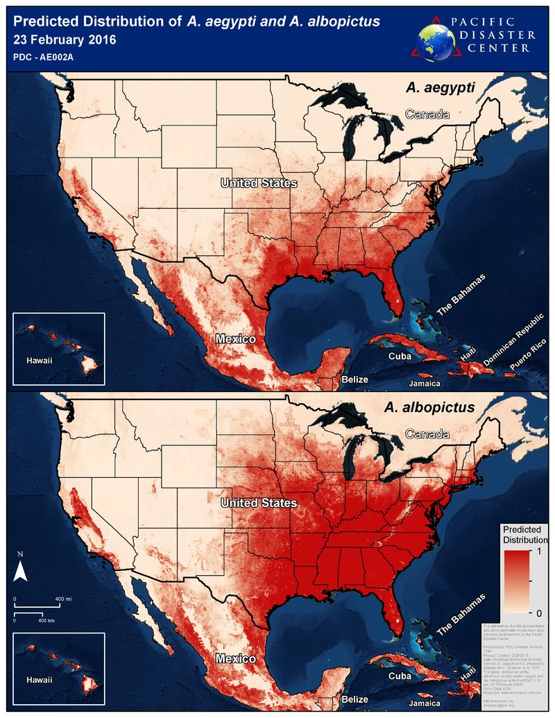 Hilo Living Blog Zika in Hawaii