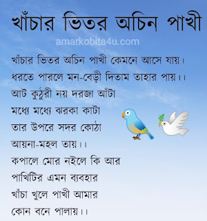 Khachar Bhitor Ochin Pakhi Lyrics