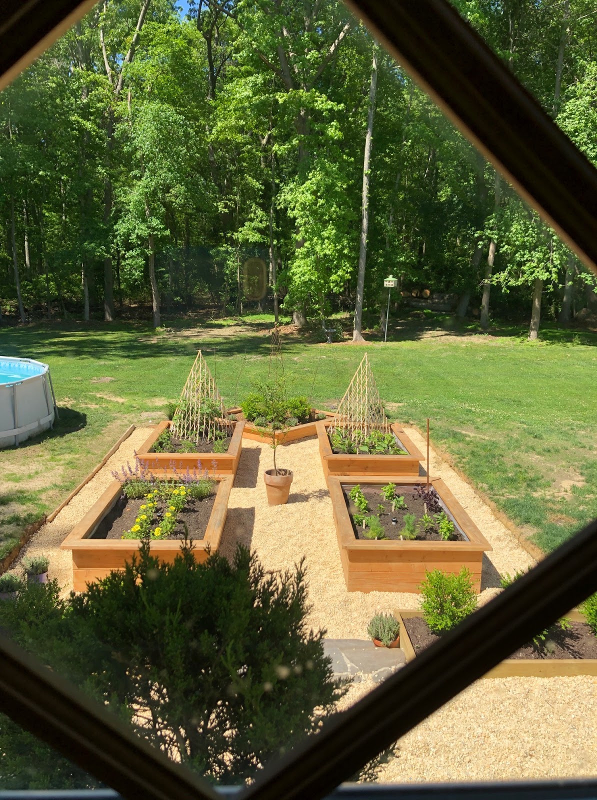 raised garden beds with wood and pea gravel