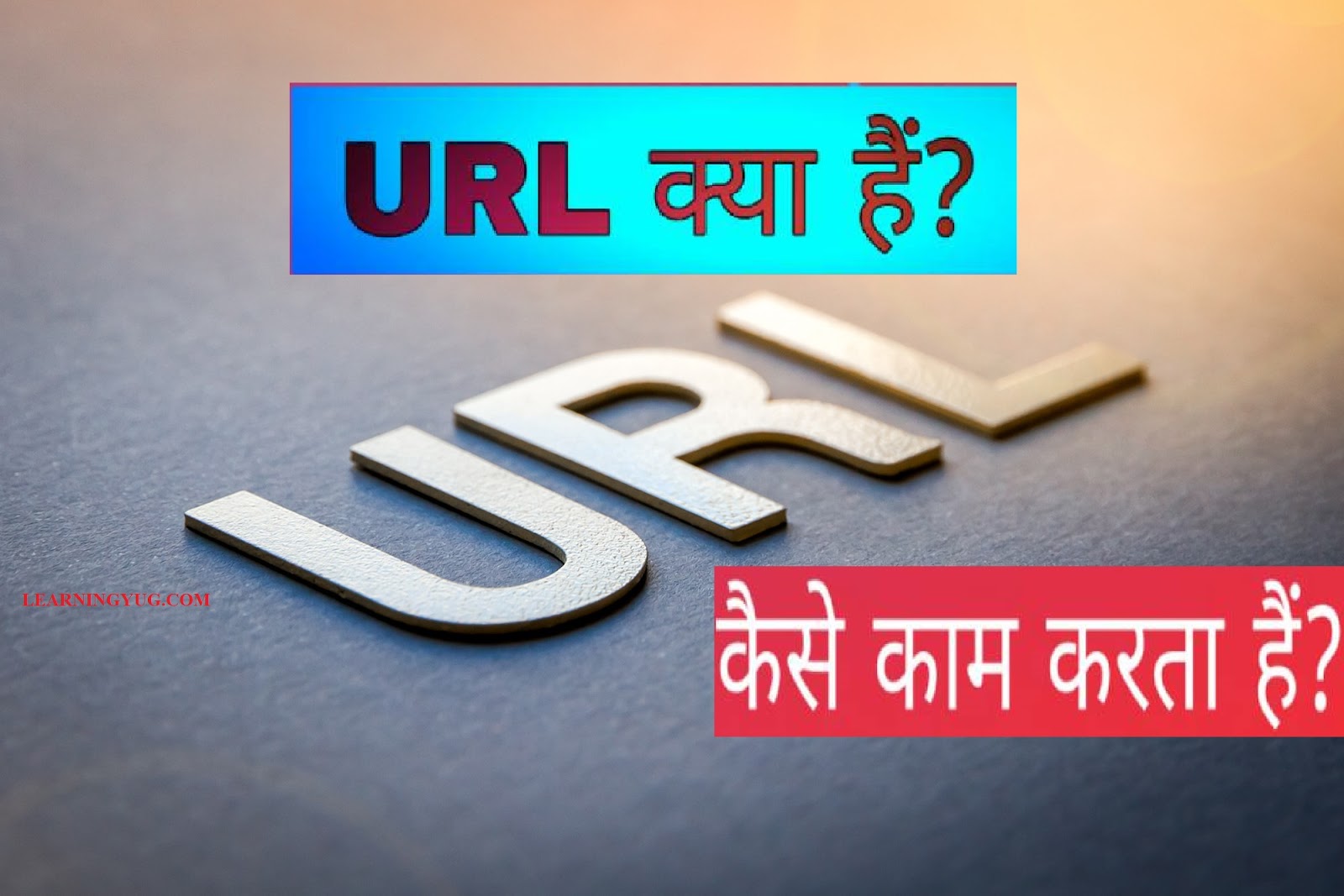  What Is URL In Hindi 