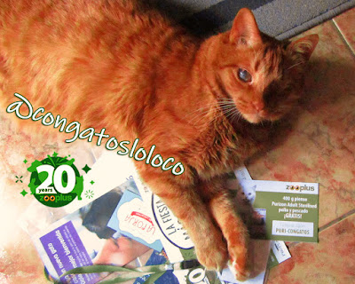 congatos congatosloloco elmo zooplus fiestaguau puricongatos purizon cupon pienso gratis gatos