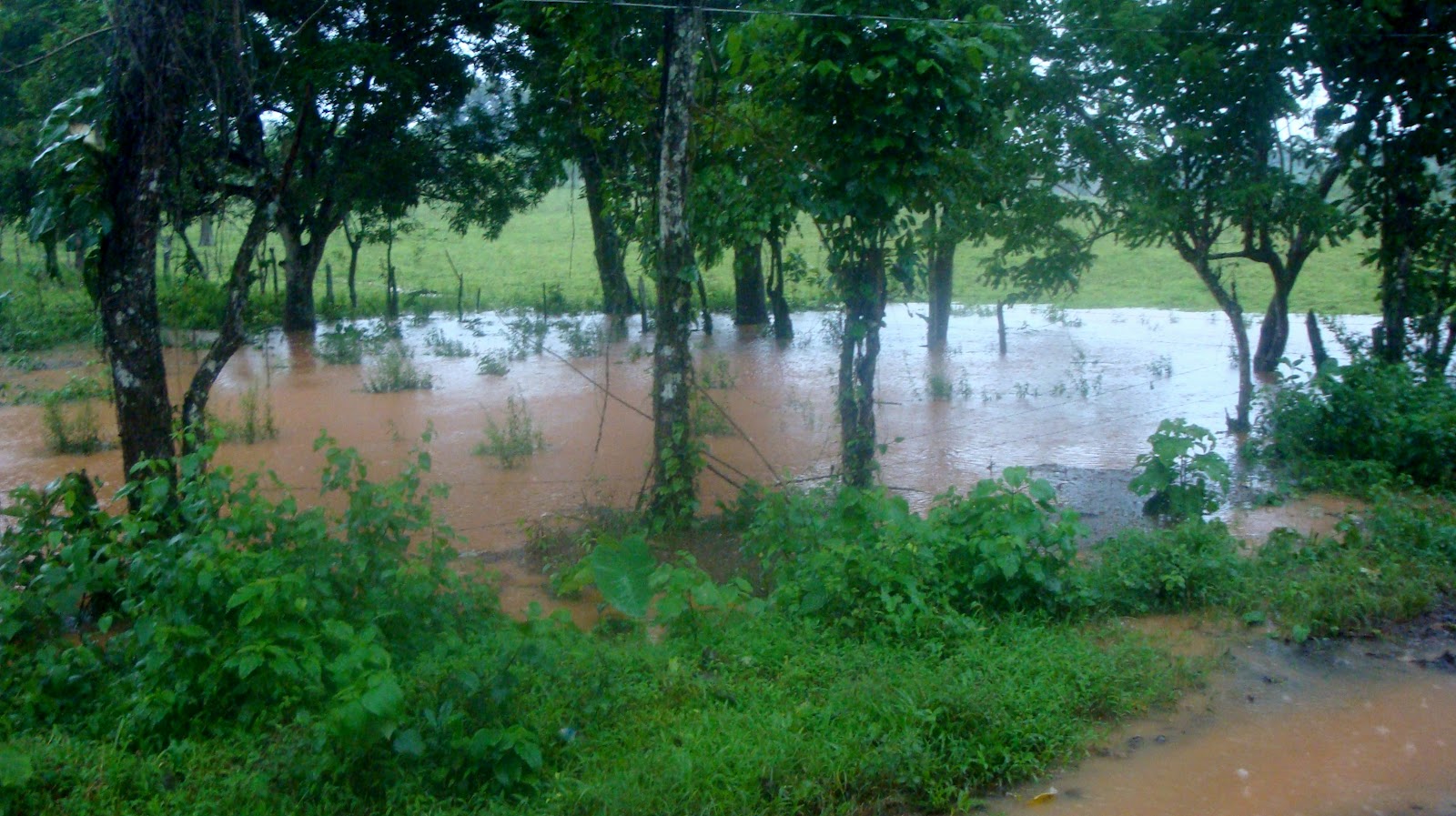 Sueños del Caribe LA LAGUNA DE HIDALGO