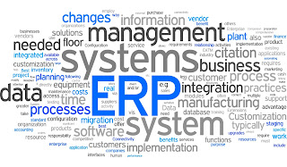 What to Do to Get the Best ERP System for Small Business What to Do to Get the Best ERP System for Small Business