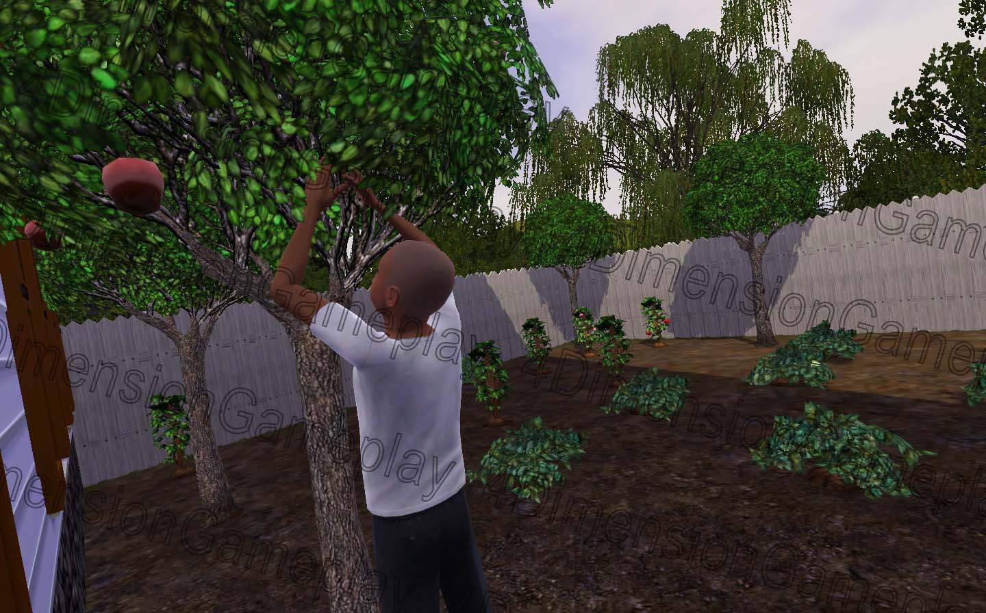 The Perfect Garden Sims 3 Guide