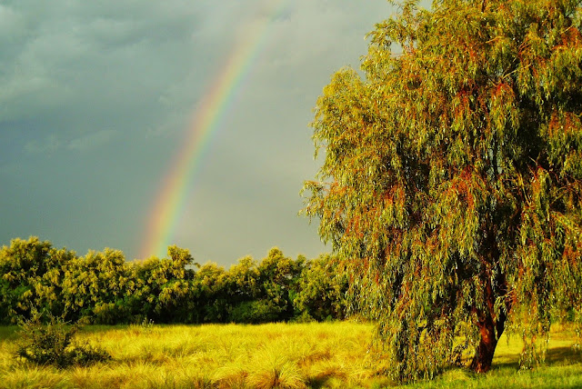 rainbow%2B3.jpg