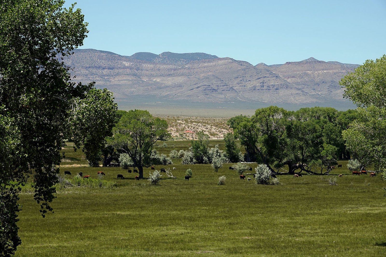 Stan's Travels Pahranagat Valley (5/23 thru 5/25/2020)