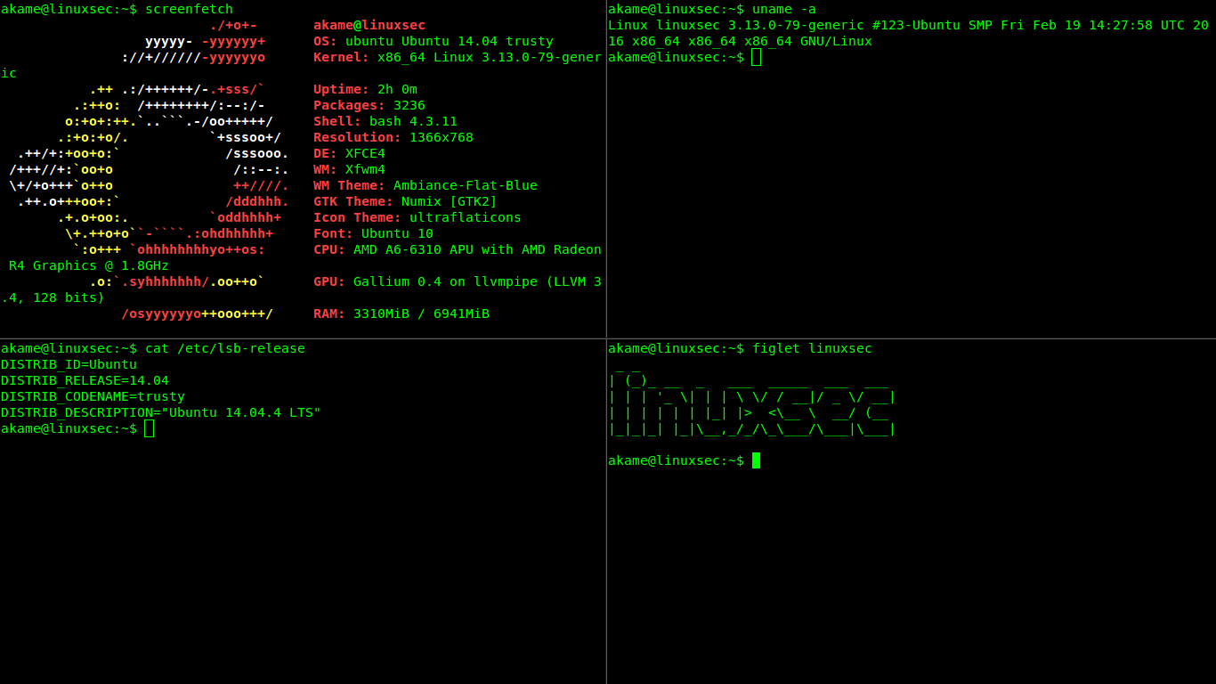 Как удалить в linux через терминал. Терминал Linux. Linux зеленый терминал. Отображение терминала линукс. Linux терминальная Графика.