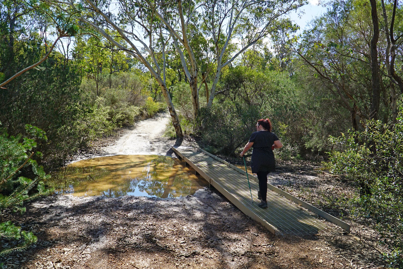 FR Berry Walk Trail (FR Berry Reserve) The Long Way's Better