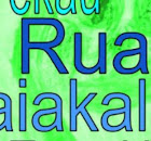 Room 10 Ruapotaka class blog