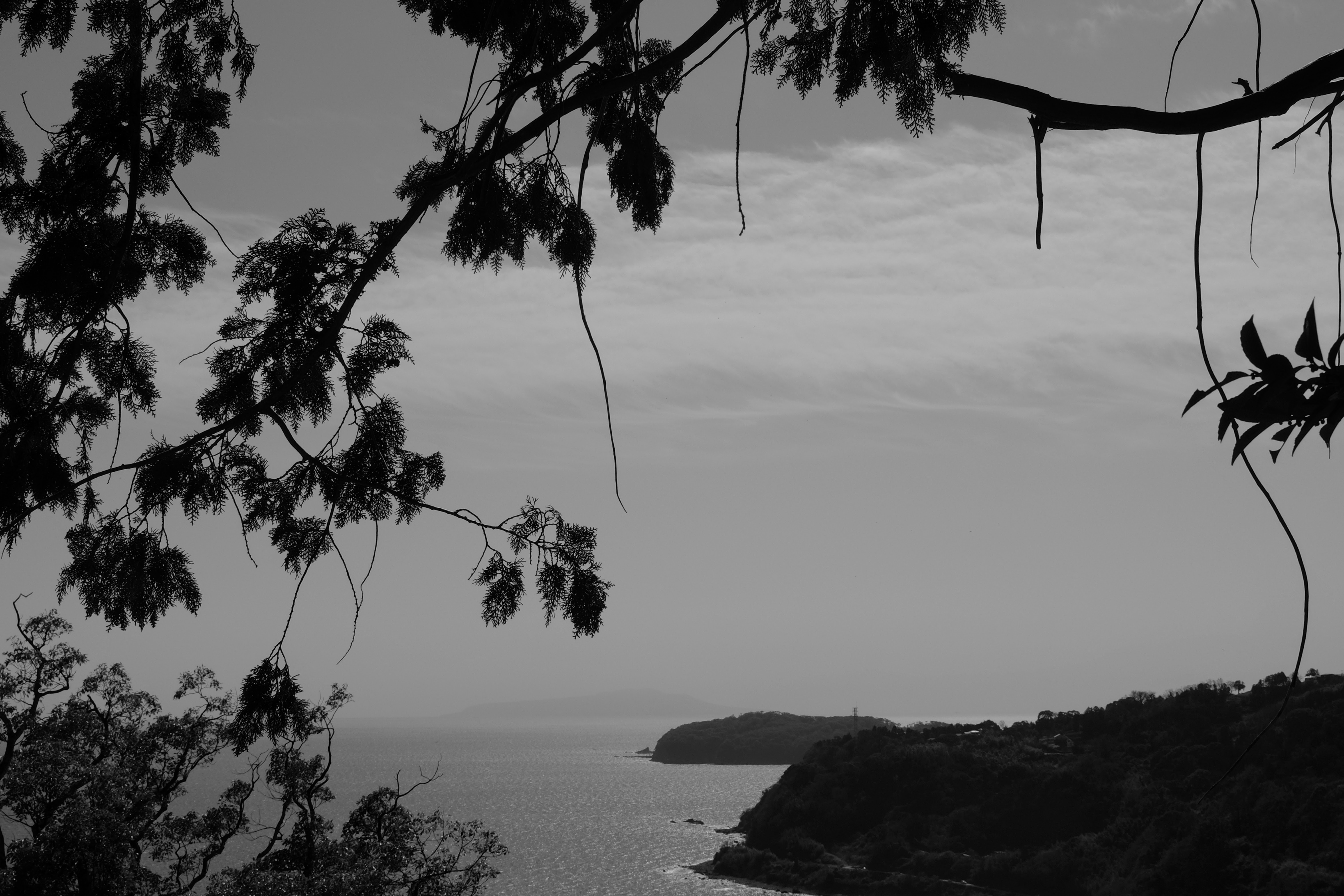 DSCF1534.JPG