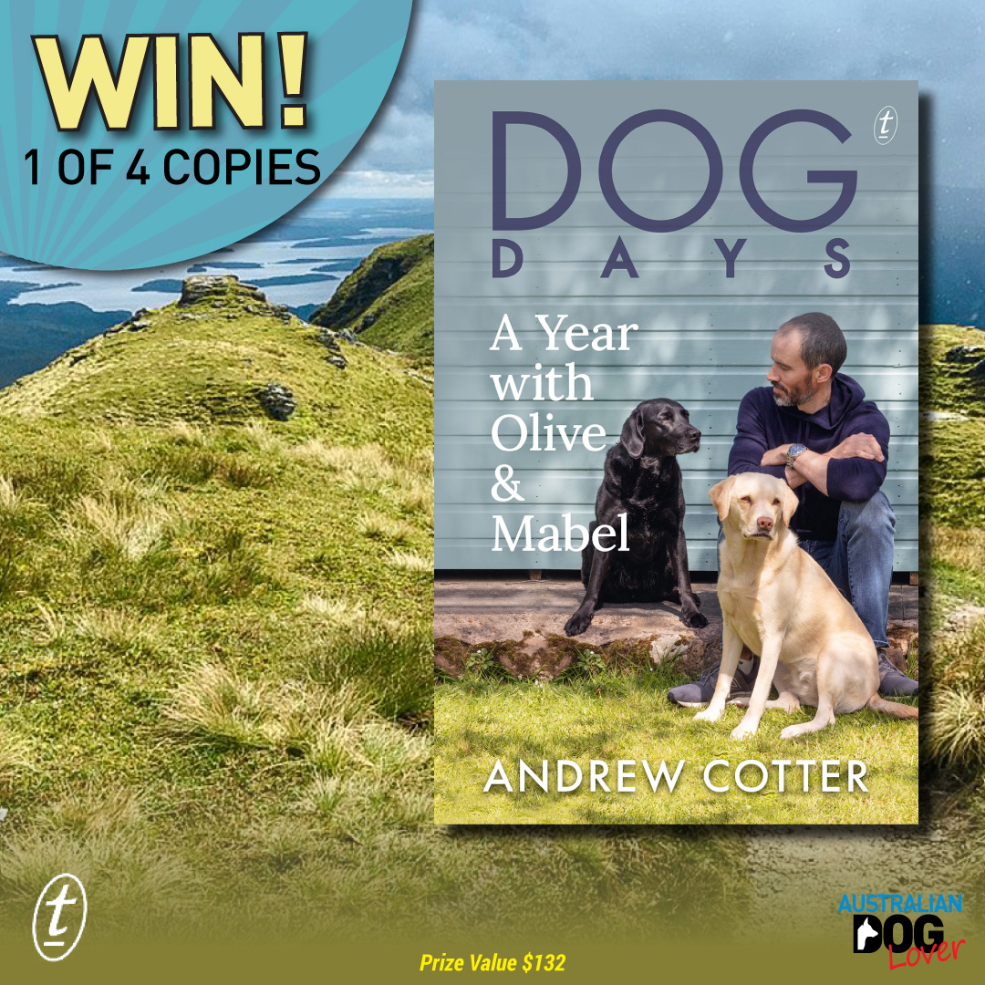 Win 1 of 4 copies of Dog Days by Andrew Cotter Australian Dog Lover
